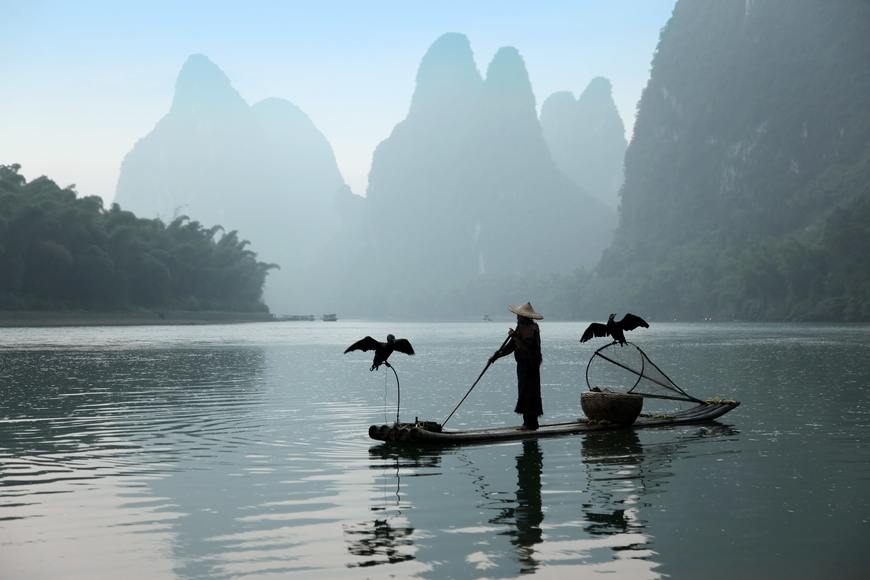 Рыбалка с бакланом